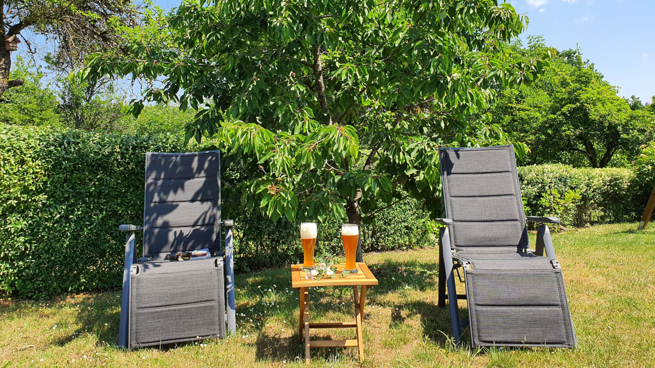 Sitzplatz mit zwei Stühlen im Schatten eines Baums