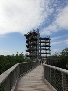 Bild Turm Baumwipfelpfad Orscholz