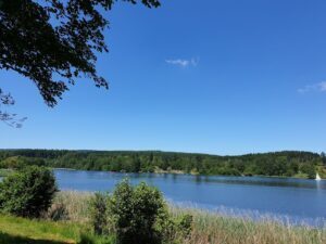 Stausee Losheim Bild von Ufer höhergelegen mit Vegetation