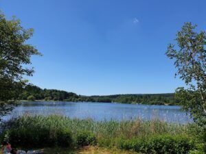 Stausee Losheim Bild von Ufer vorne